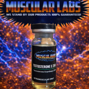 Testosterone-E 250mg/ml(10ml)