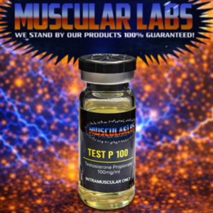 Testosterone-P 100mg/ml(10ml)